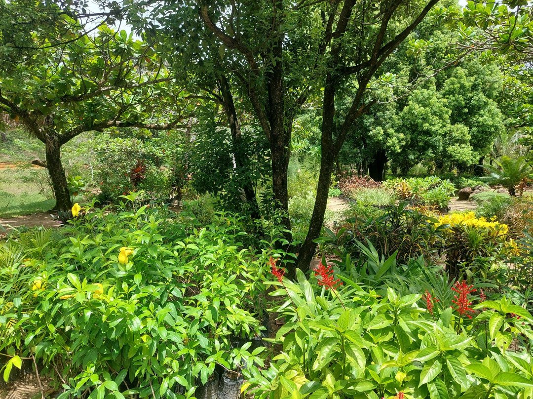 Domaine de la Cascade景点图片