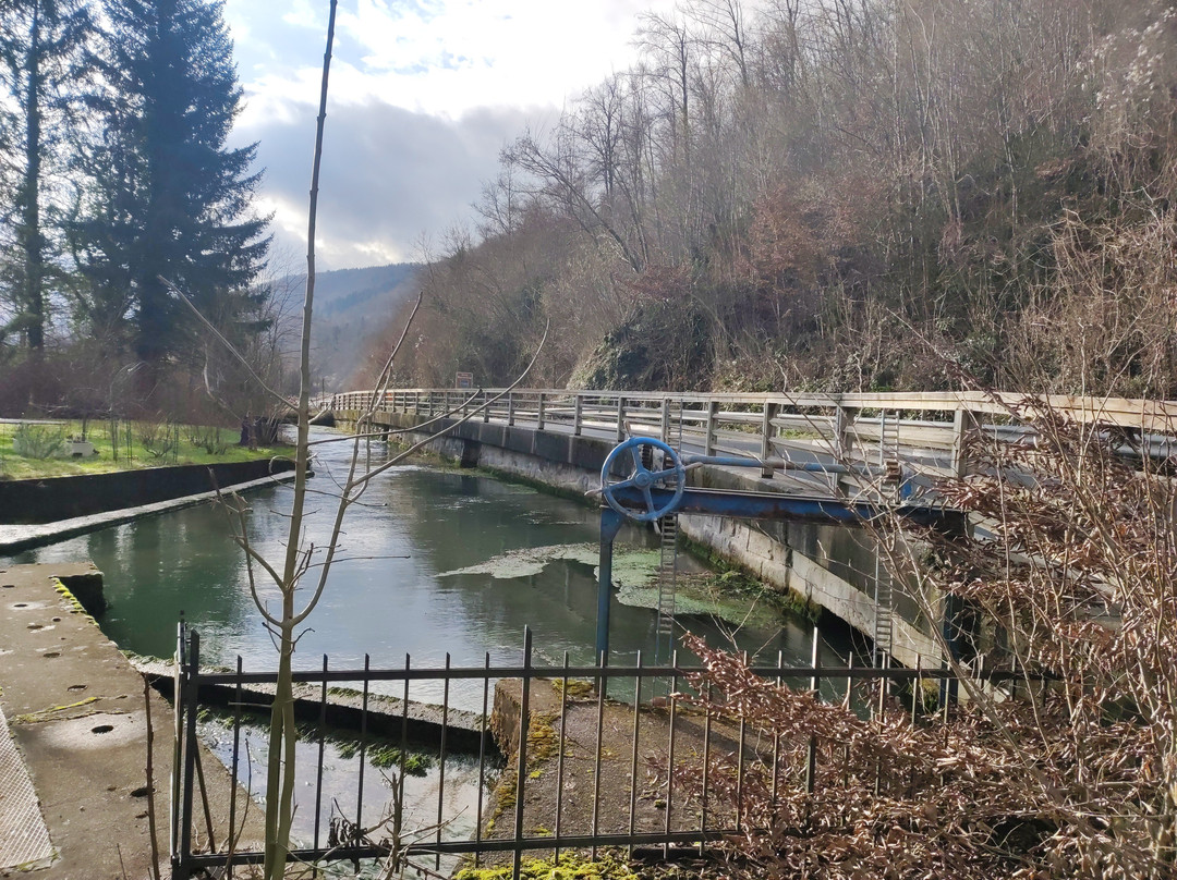 Bistra Springs