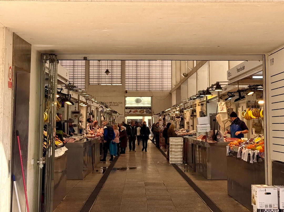 Mercado Central景点图片