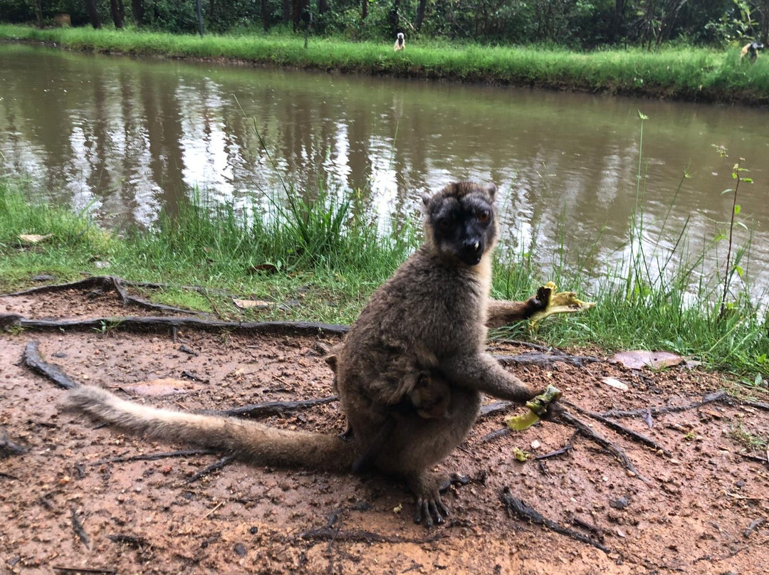 Madagascar Ideal Adventures景点图片