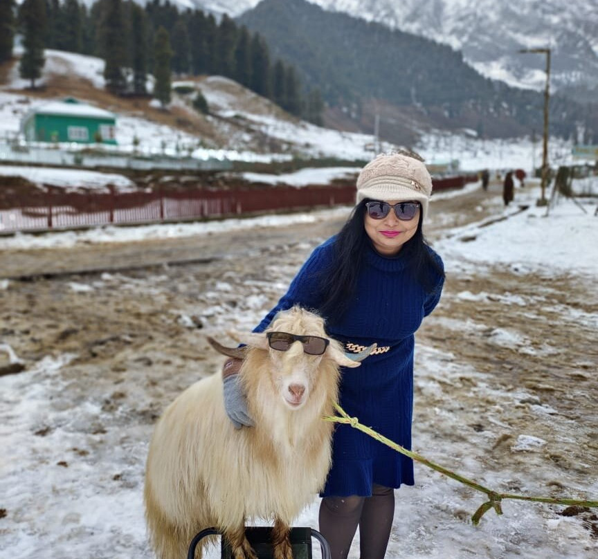 Kashfly - Kashmir Tour and Travel-斯利那加必去景点