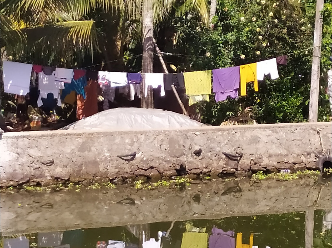 Alappuzha Boat Jetty景点图片