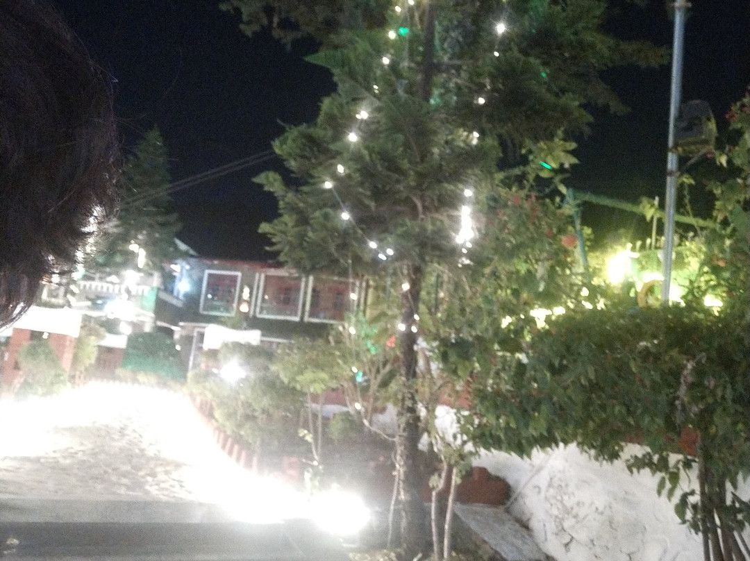 OYO 33384 Sarthak Inn And Tarang Restaurant主图