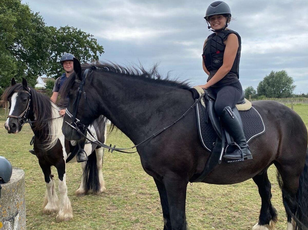 Montys Equestrian Centre景点图片