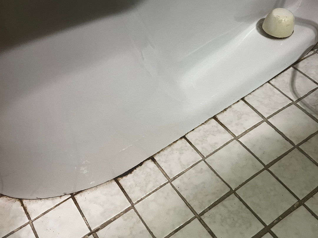 Pinewood Motor Inn主图