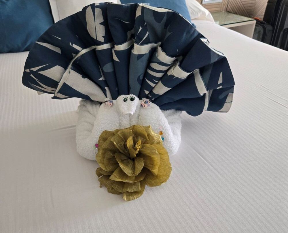 Hotel Riu Latino主图