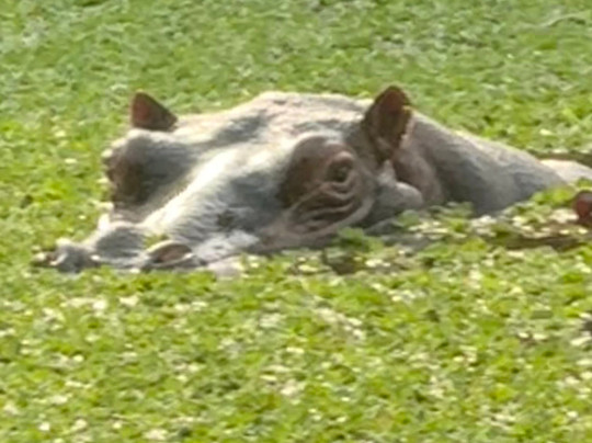 Orango National Park-Bissau必去景点