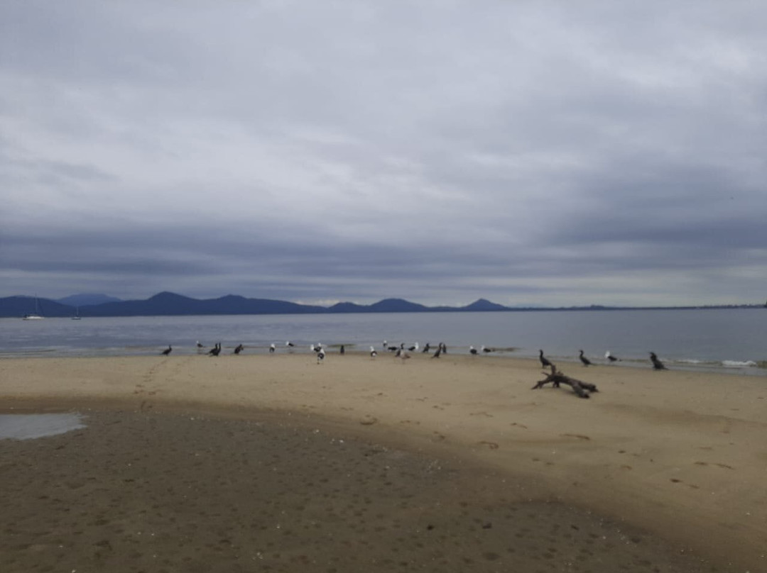 Ingleses Beach-Sao Francisco do Sul必去景点