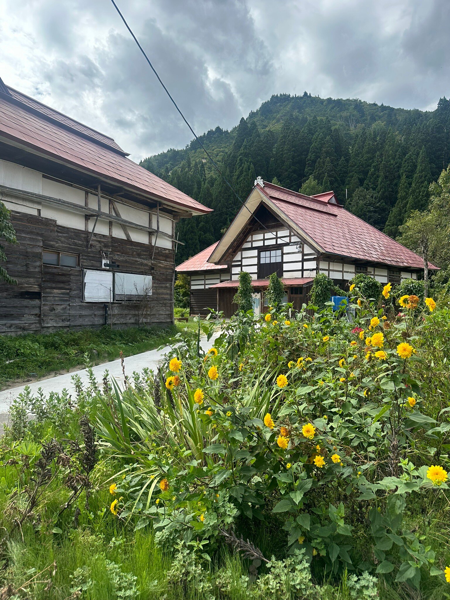 Tamanashi Onsen Ebisuya-官方