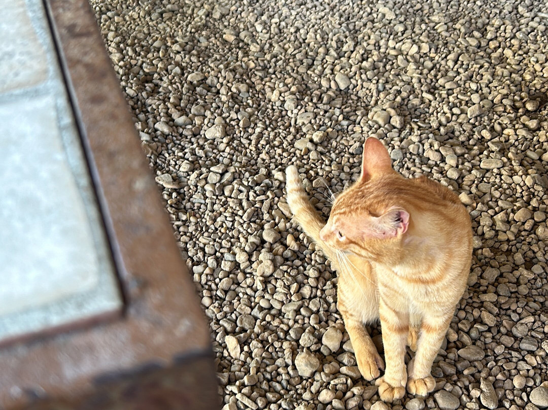 Ganso Complexo de Lazer主图