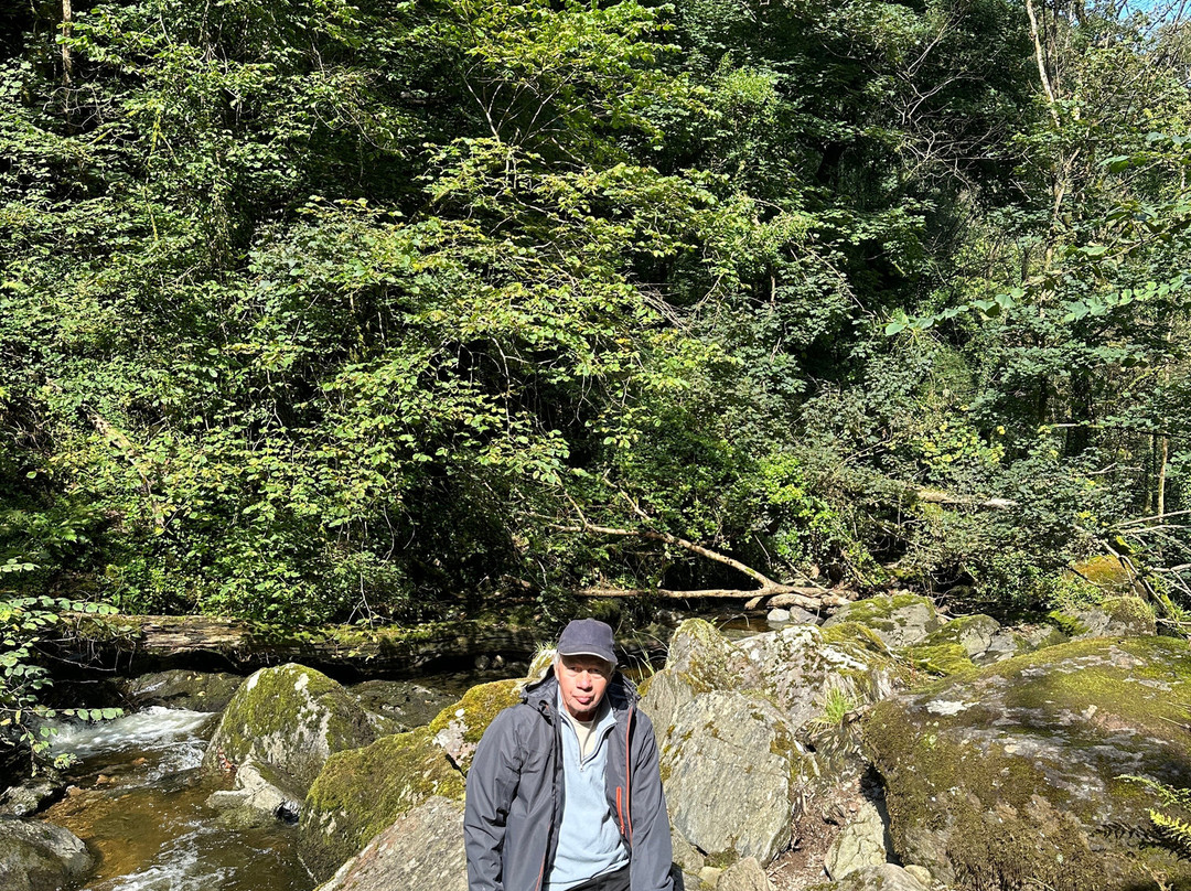 Glen Lyn Gorge景点图片
