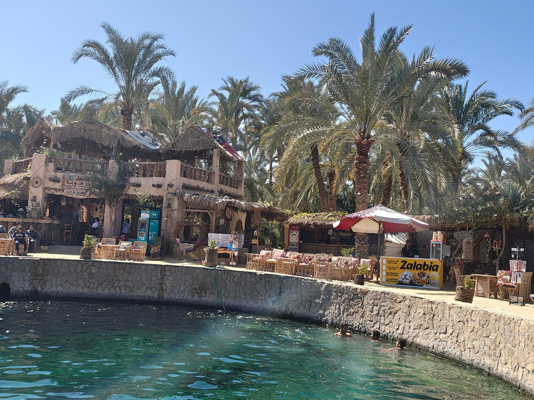 Cleopatra's Pool - Spring of Juba-西瓦必去景点