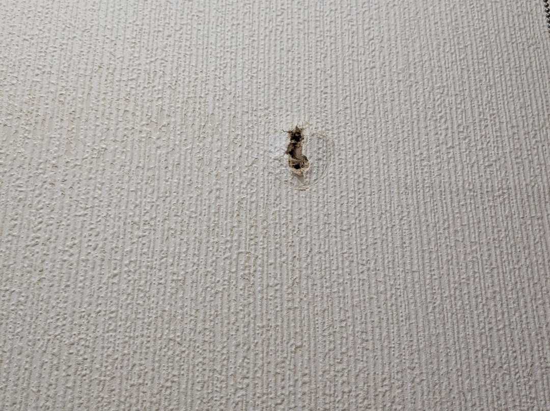 The Knoll Guesthouse主图