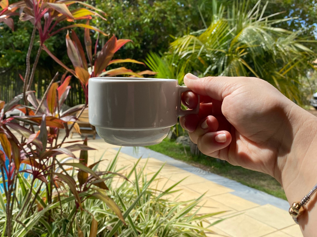 Pousada Jardim Cambui主图