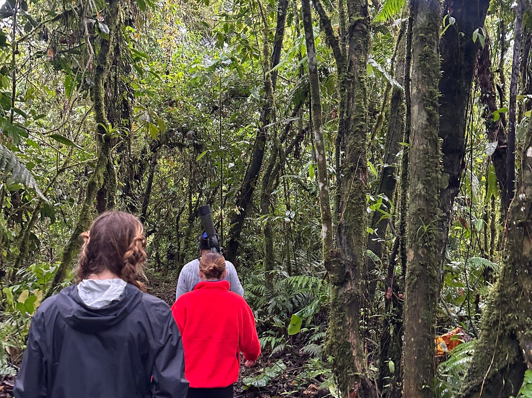 Maquipucuna Reserve-基多必去景点