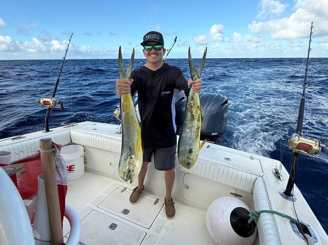 Hawaii Ocean Adventure Tours-哈雷瓦必去景点