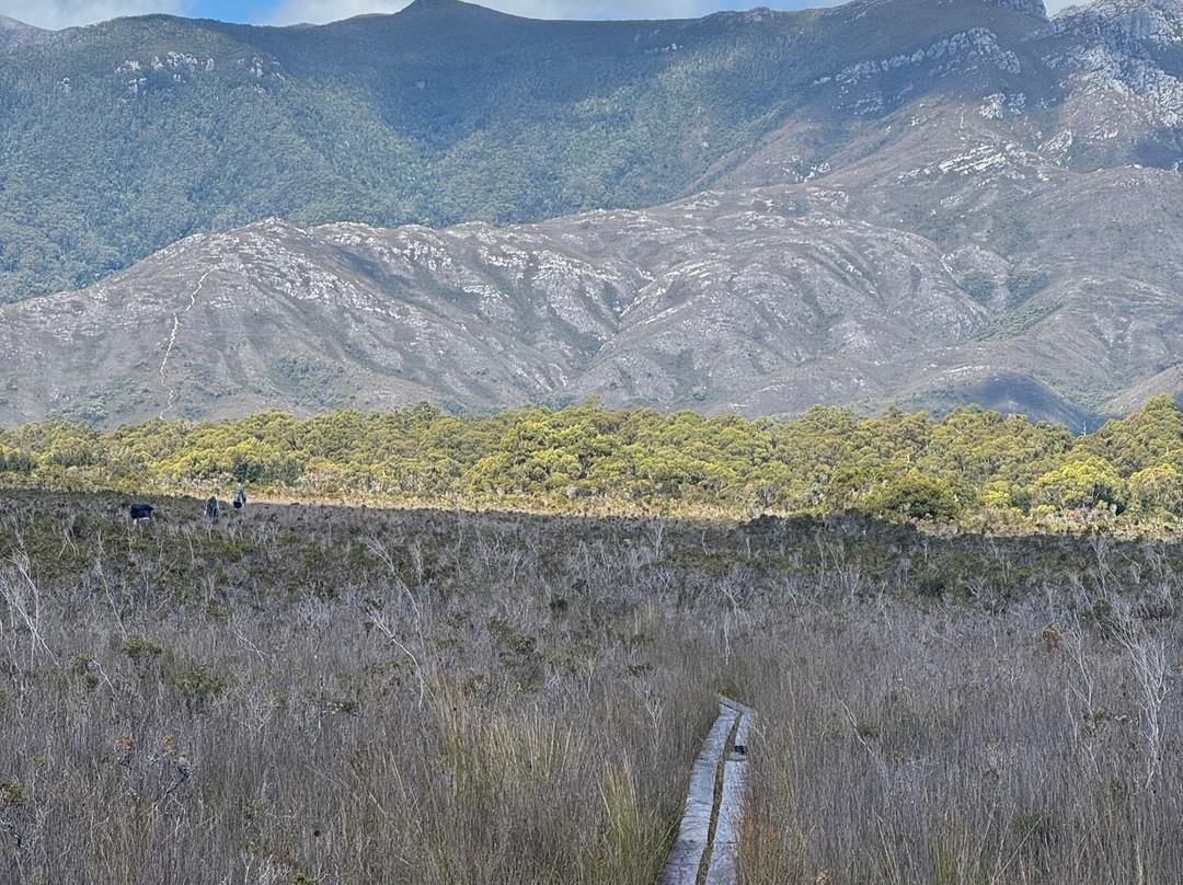 Trek Tours Australia-朗塞斯顿必去景点