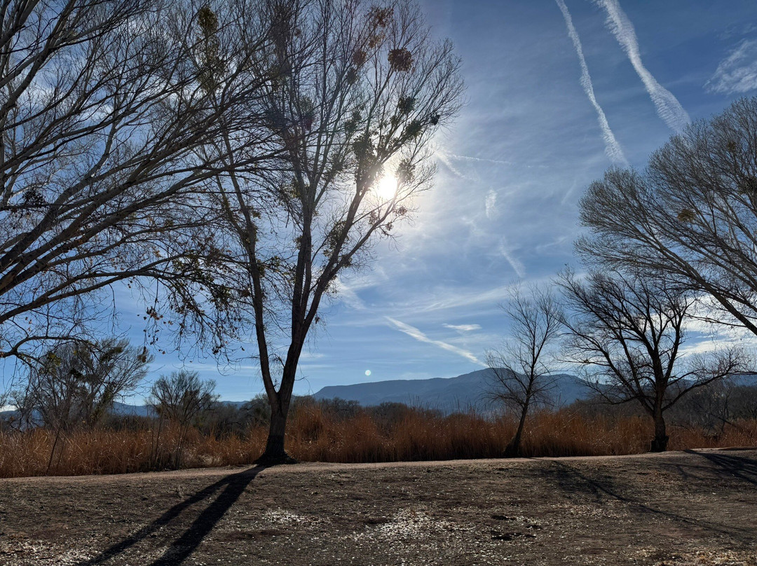 Verde River Greenway