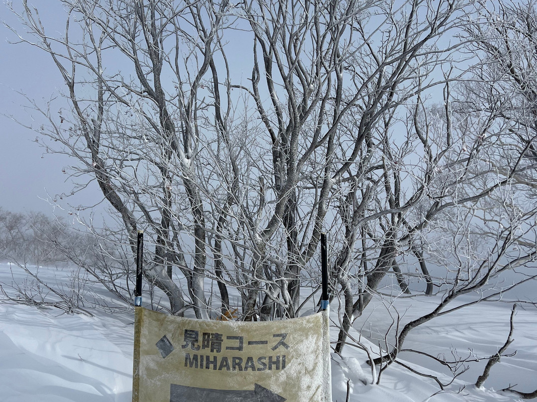 Niseko Black Snowsports-俱知安町必去景点
