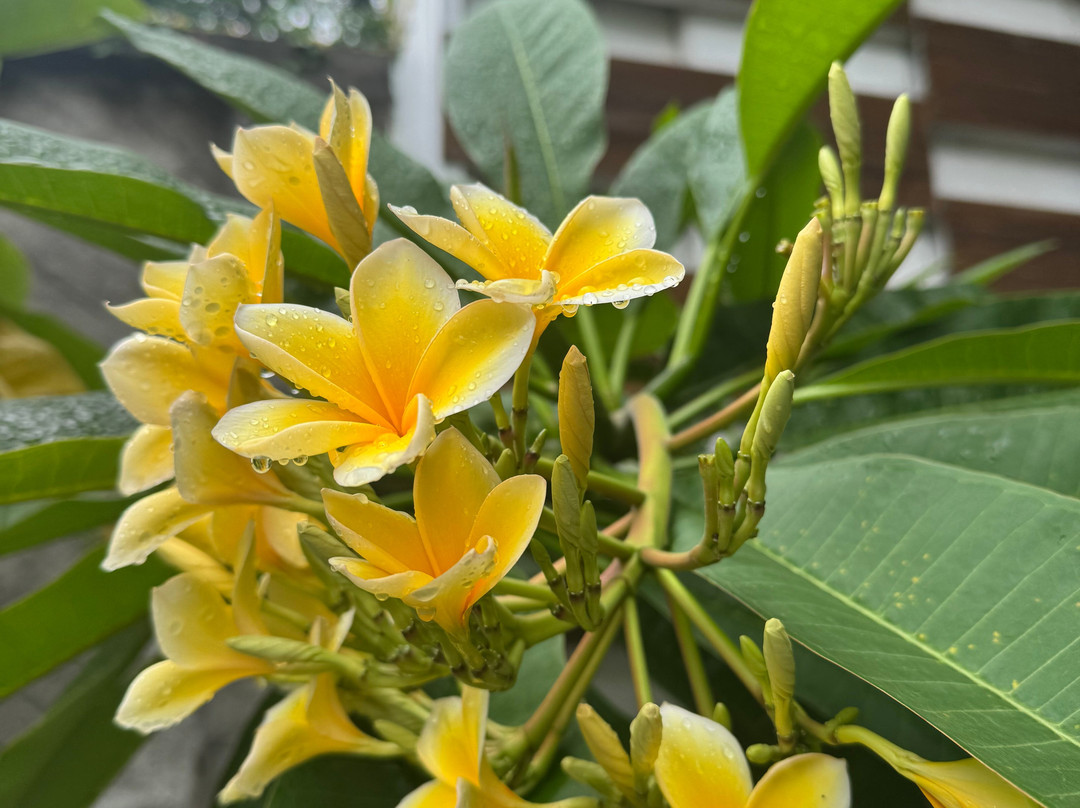 ILLIRA Lite Hotel Praya主图