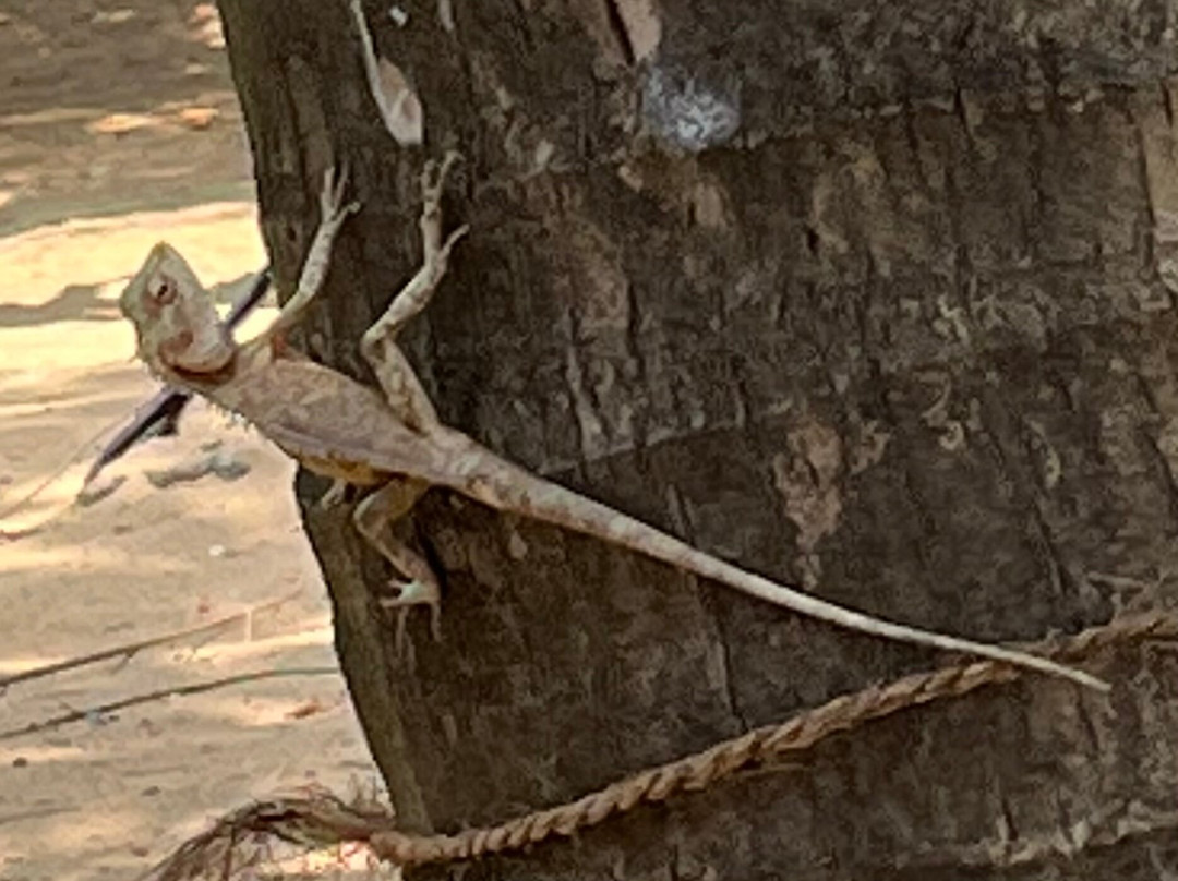 Sea View Resort主图