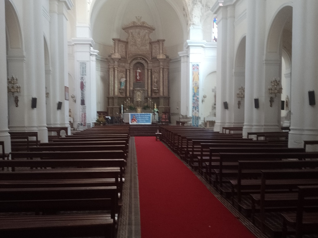 Parroquia San Carlos Borromeo景点图片