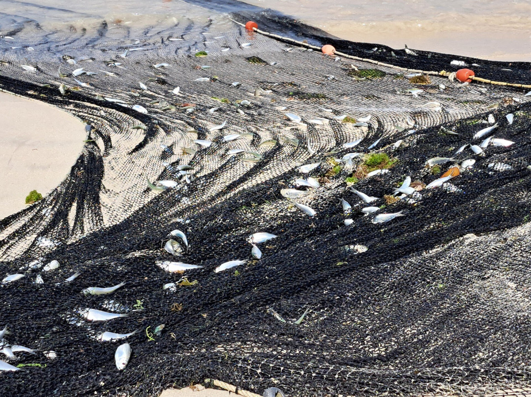 Kalinago Beach Resort主图