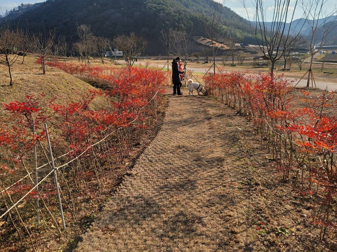 高敞、和顺、江华的史前遗址 -高敞郡必去景点