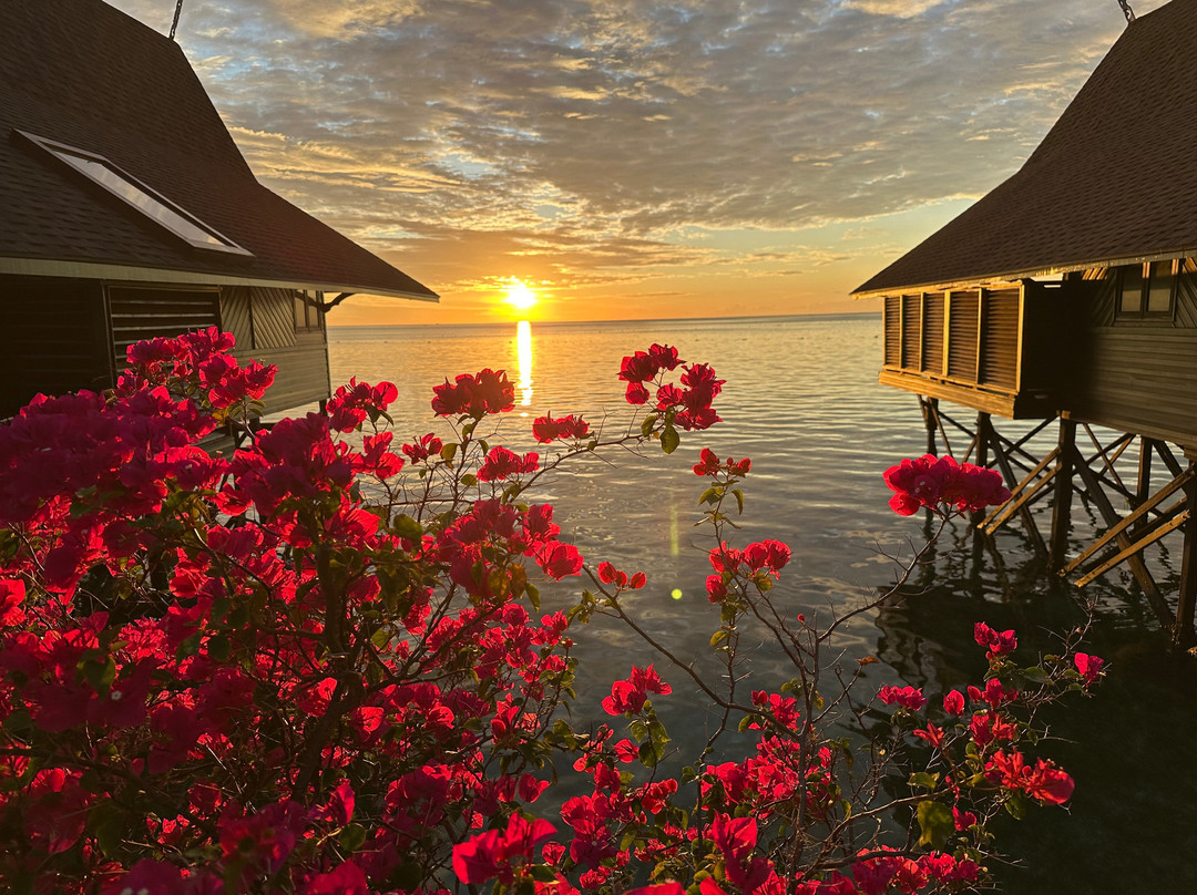 卡帕莱度假村主图