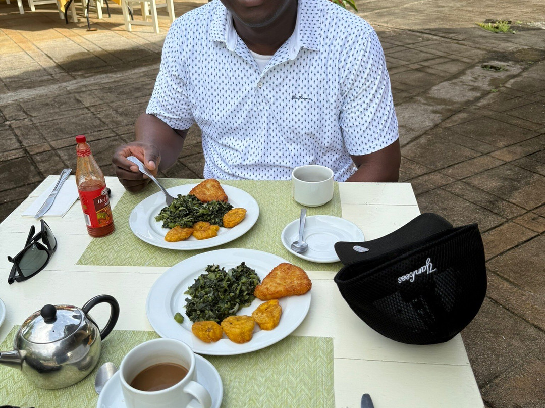 Pimento Lodge Resort主图