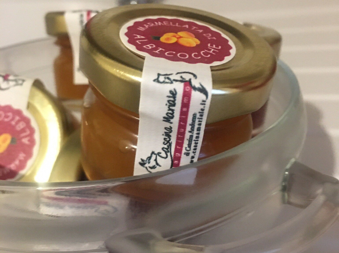 Agriturismo Cascina Mariale主图