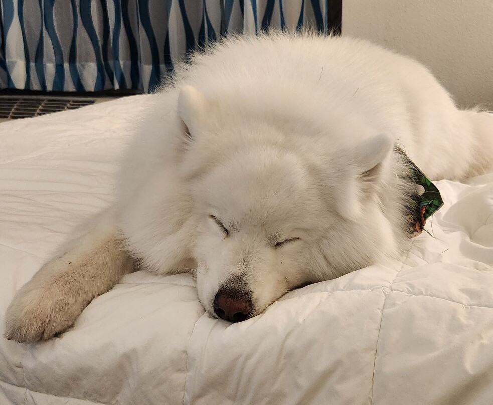 La Quinta Inn & Suites by Wyndham Orlando UCF主图