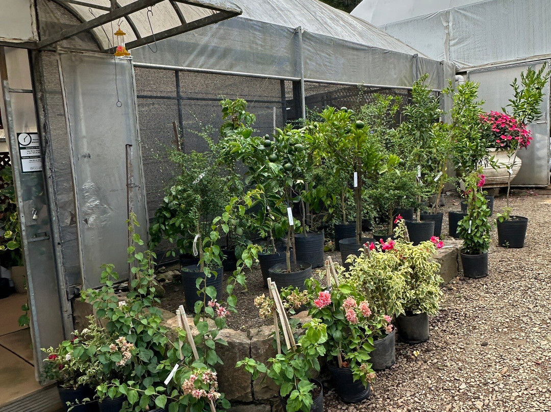 Floricultura Úrsula