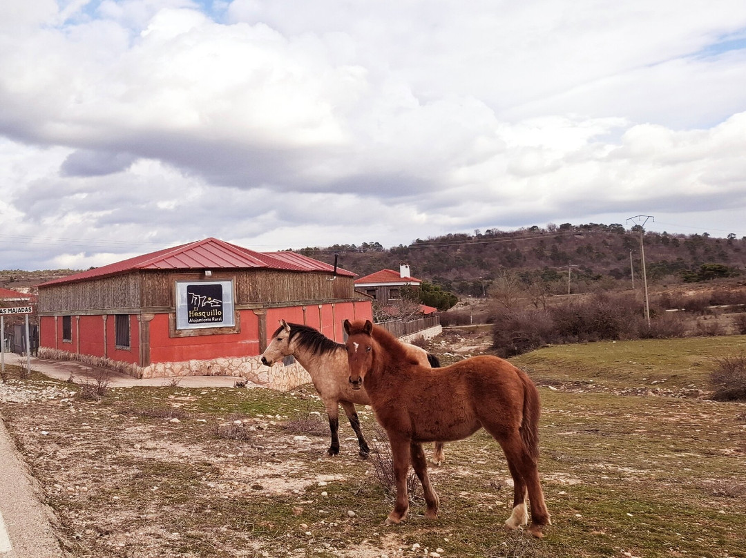 El Hosquillo Alojamiento Rural主图