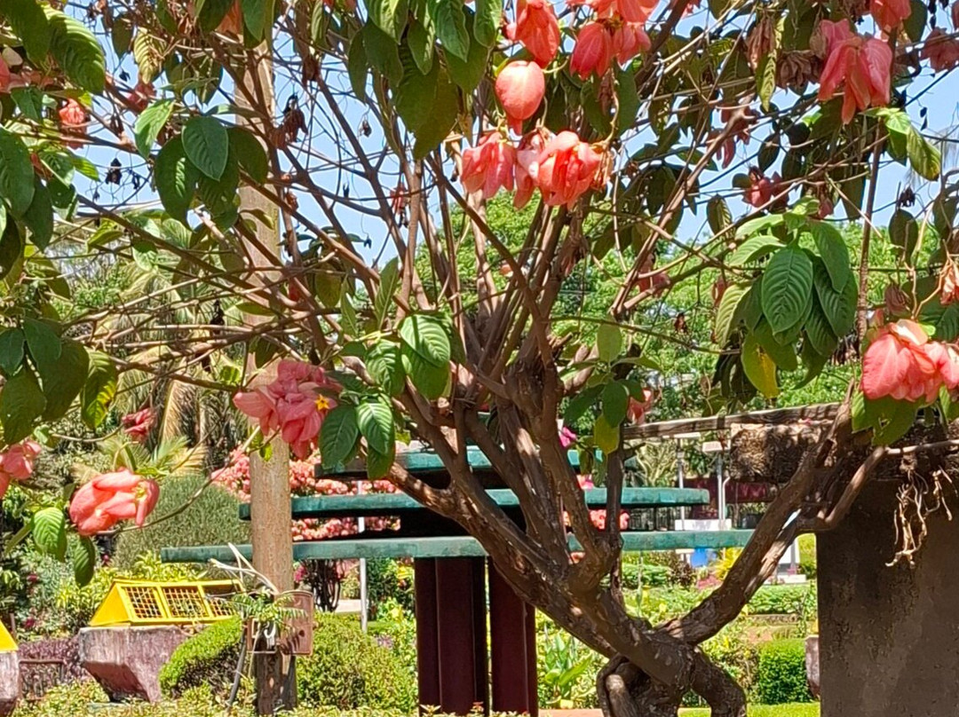 Margao Municipal Park-马尔加奥必去景点