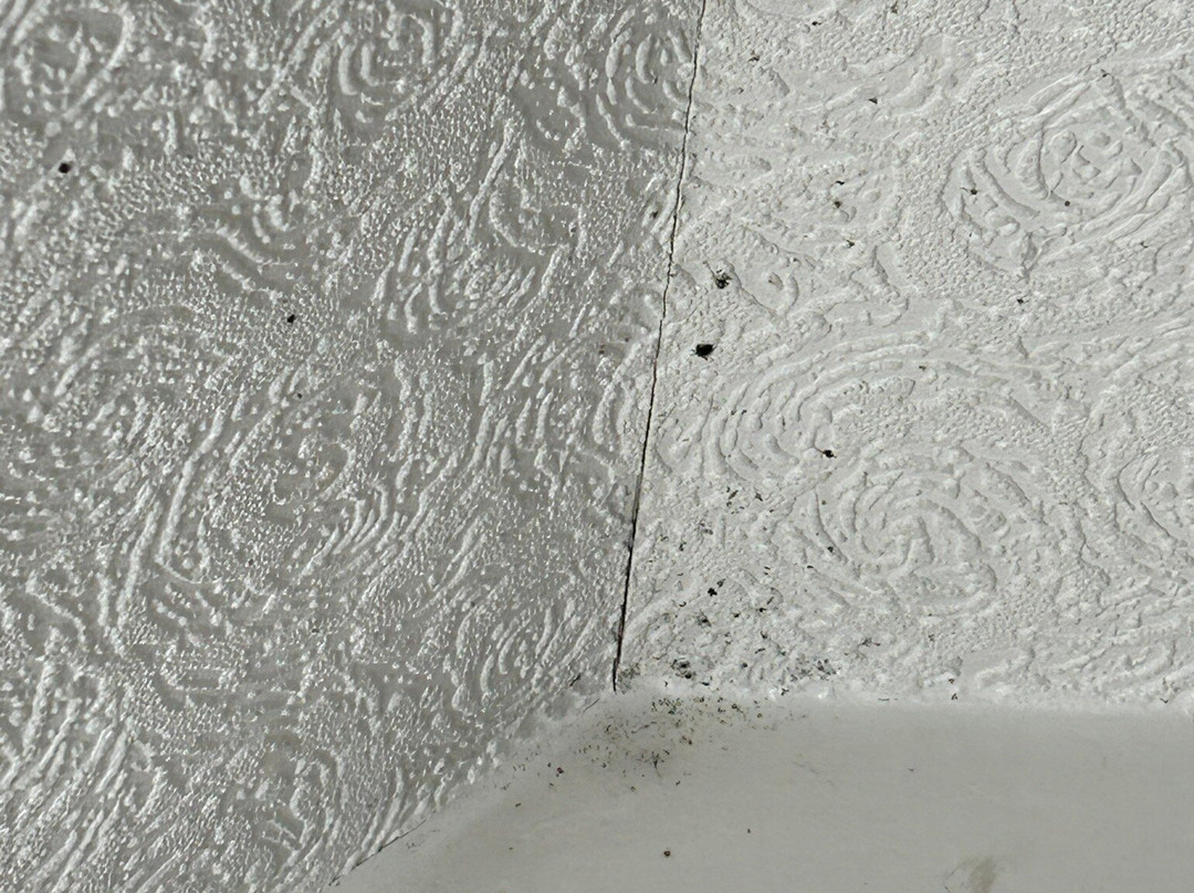 Pettifers Freehouse Hotel主图