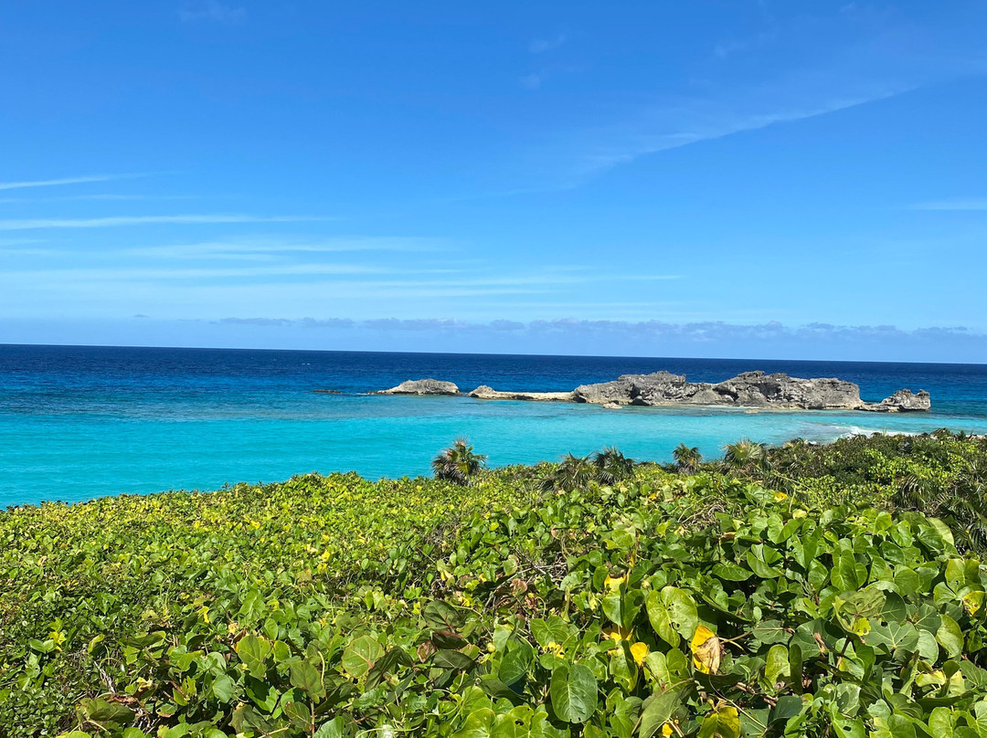 Twin E-bike Tours & Rentals-North Caicos必去景点