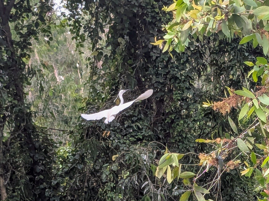 Tra Su Bird Sanctuary-朱笃必去景点