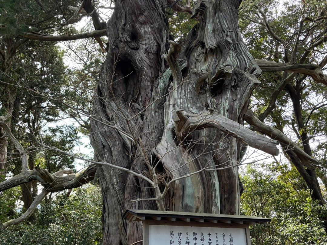 Ose no Kami Pond景点图片