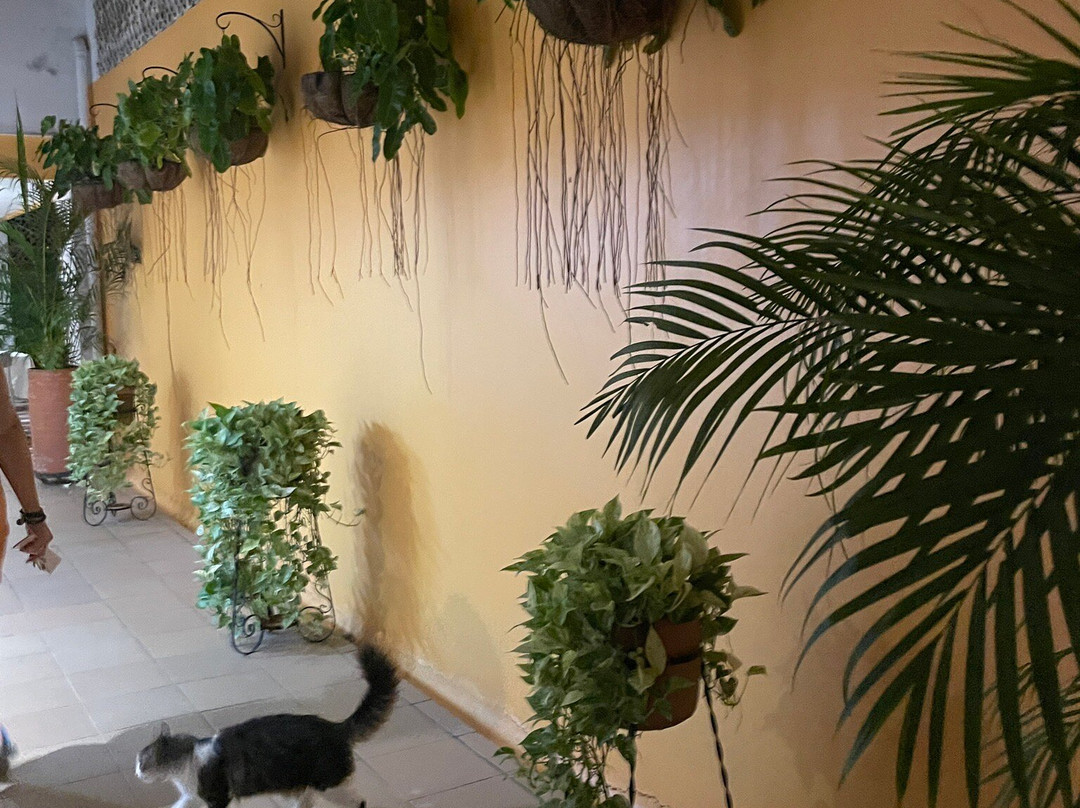 Hotel La Gloria主图