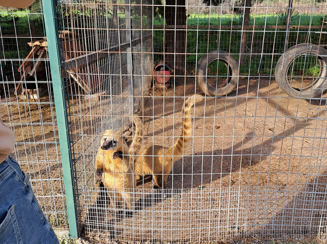 Ktíma - Zoo Park Polyzogópoulou景点图片