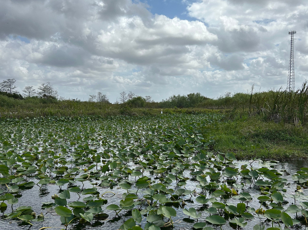 Down South Airboat Tours-大沼泽地必去景点