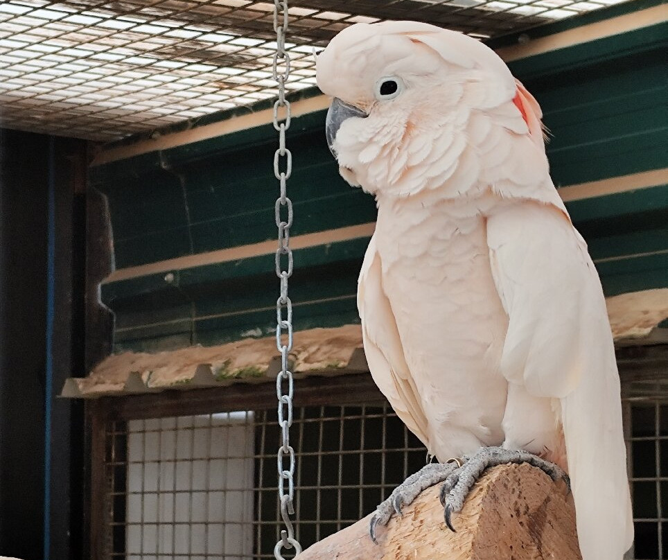 Bioparque La Rocha景点图片