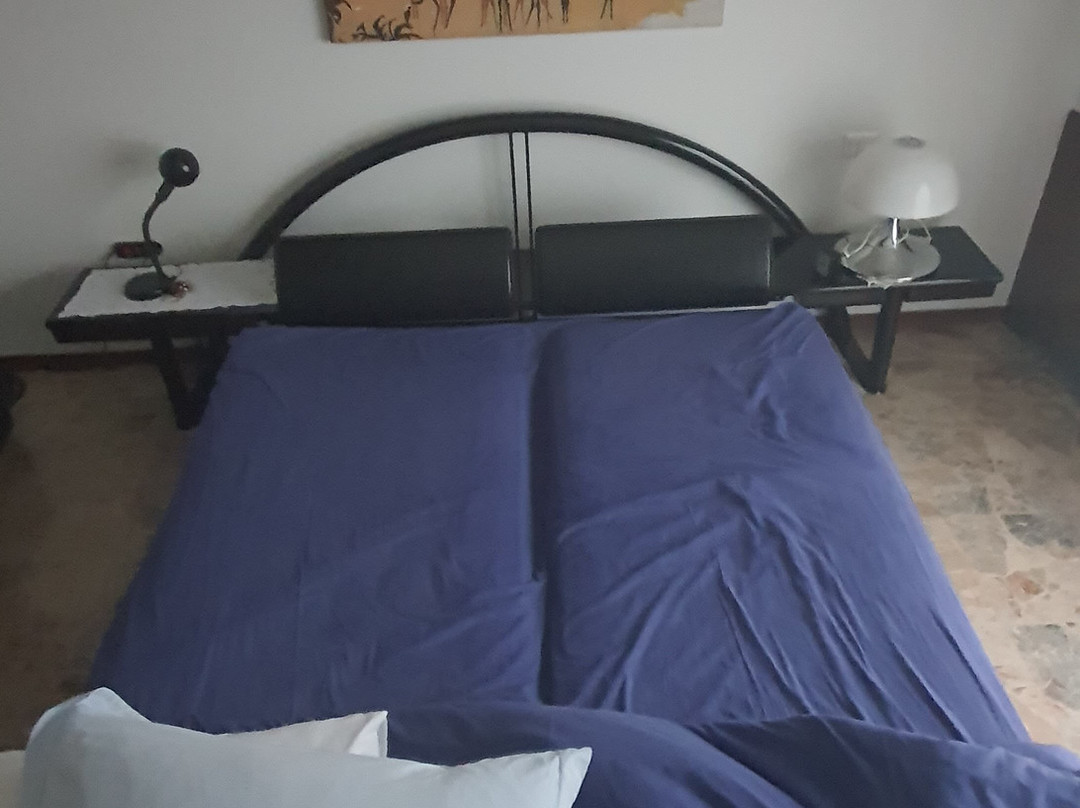 B&B Magenta主图