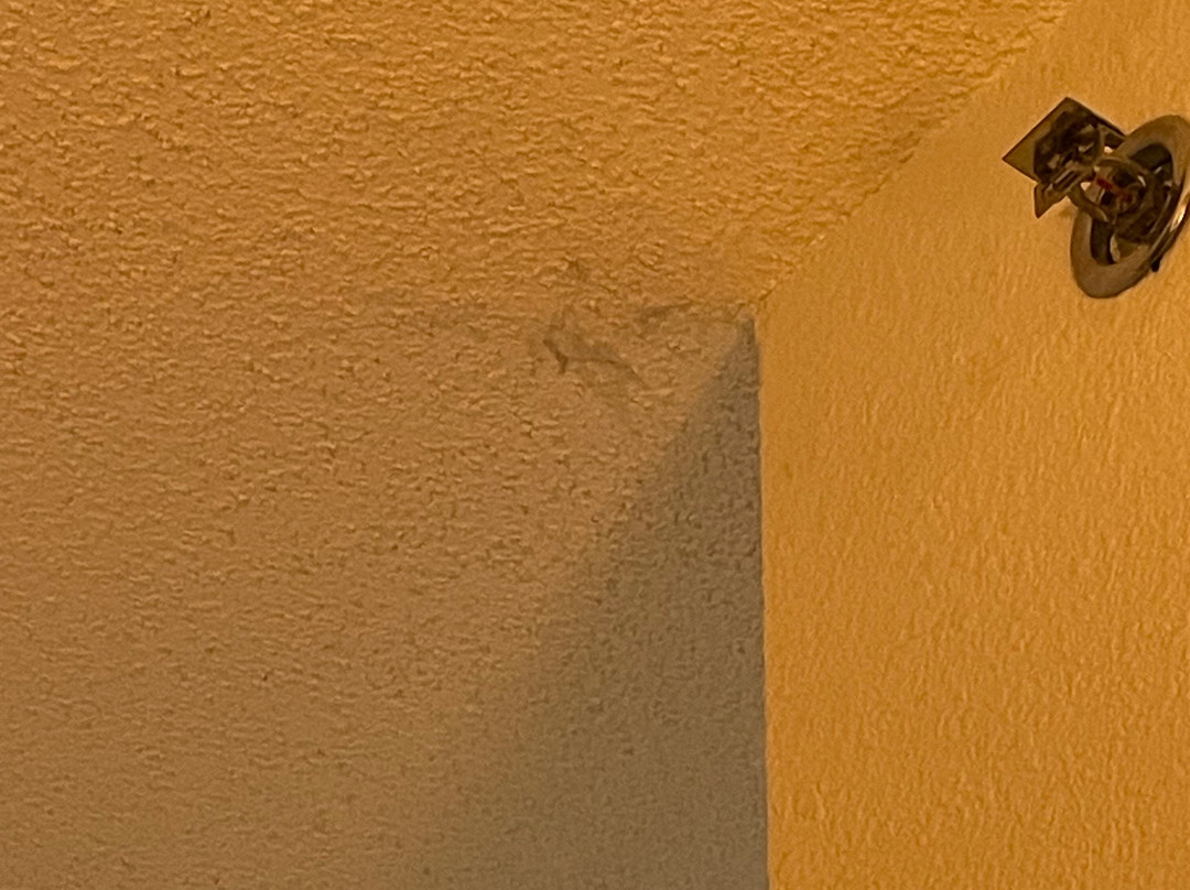 Baymont by Wyndham Albany主图