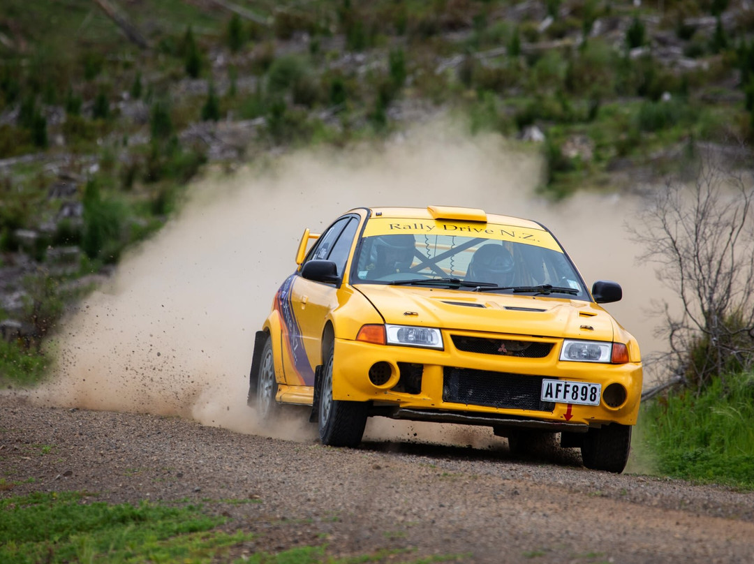 Rally Drive NZ-汉密尔顿必去景点