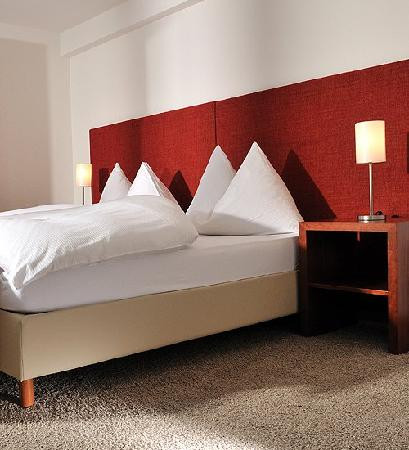 Parkhotel Waldheim主图