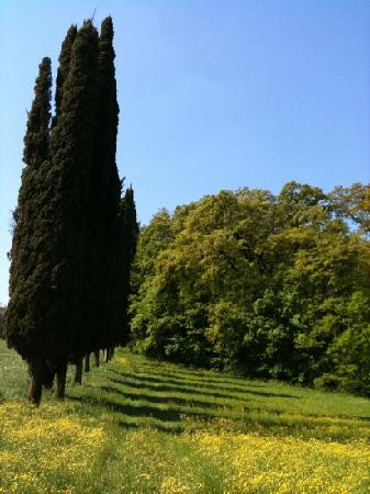 The Locanda Montaguglione主图