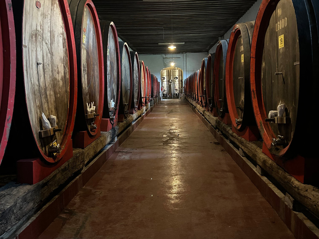Azienda Agricola Rechsteiner景点图片