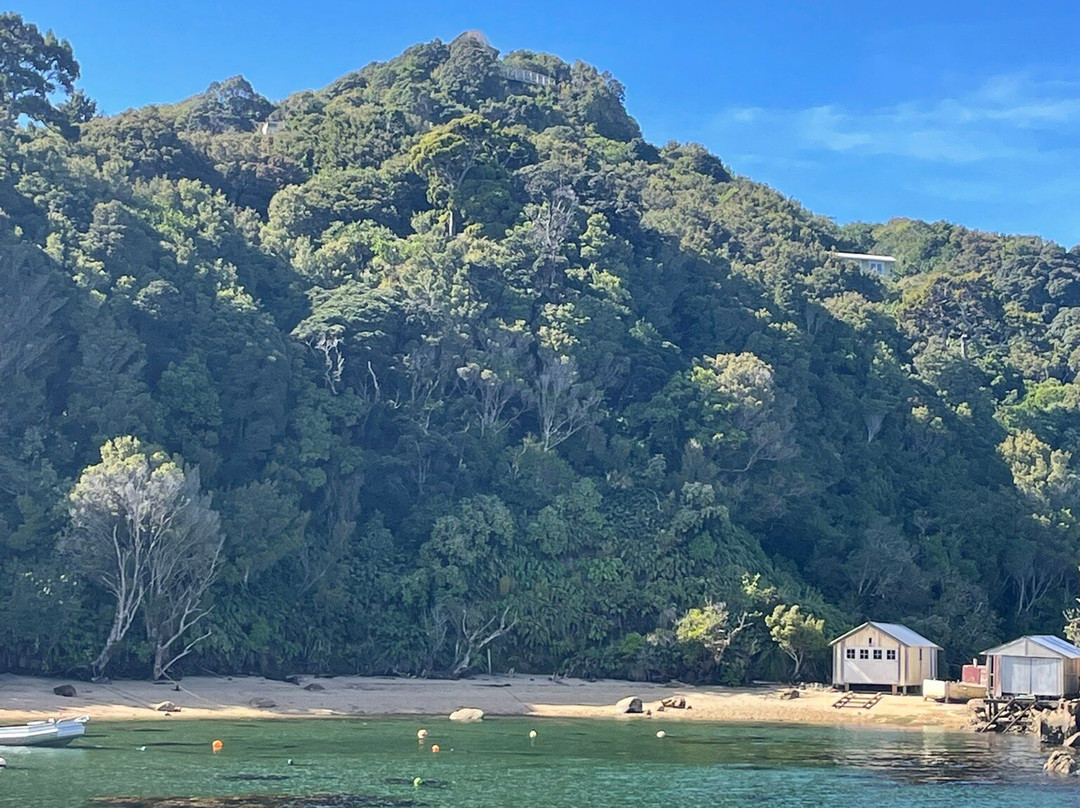 Stewart Island Electric Bikes景点图片